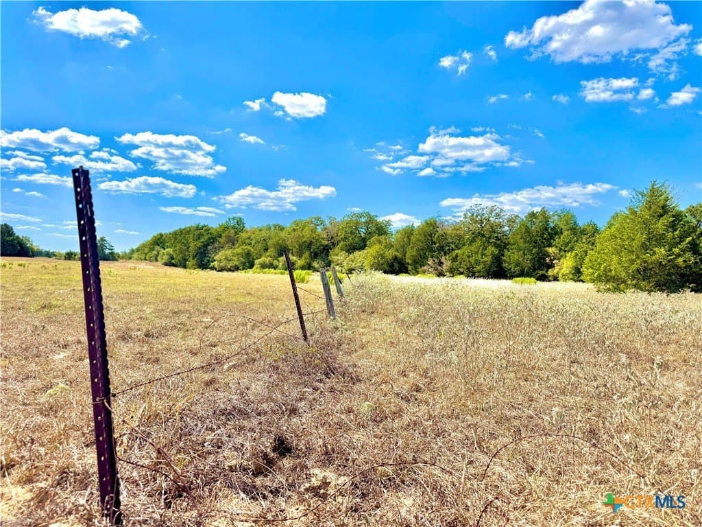 50.62 acres in Bastrop County - photo 11