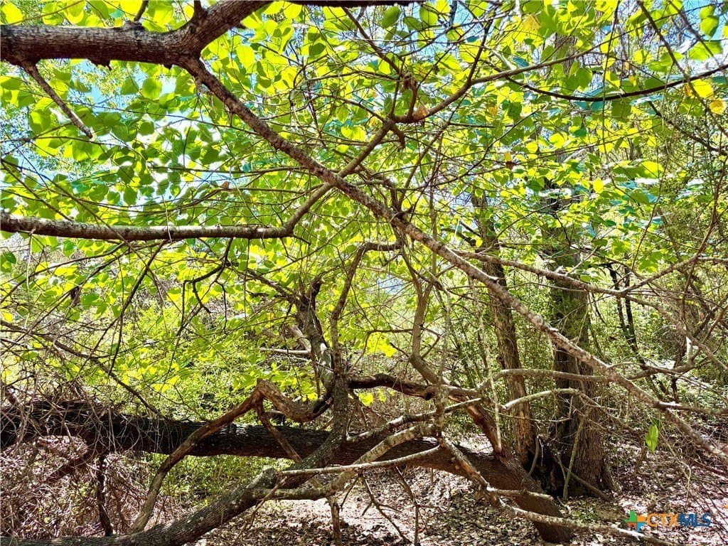 50.62 acres in Bastrop County - photo 13