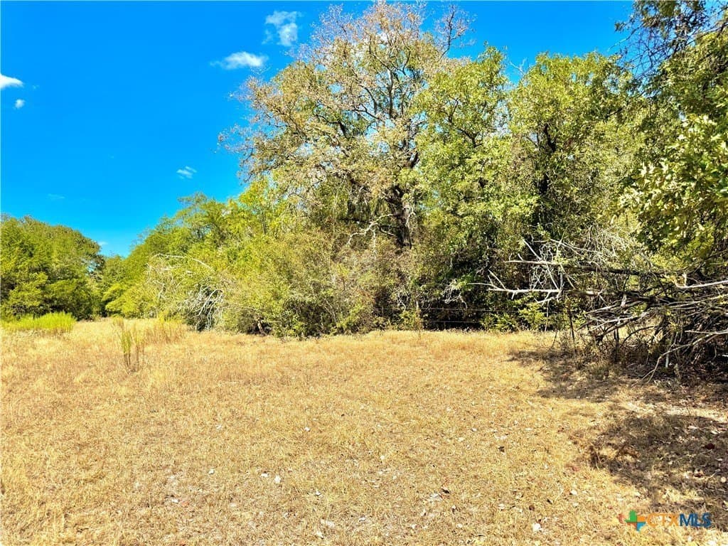 50.62 acres in Bastrop County - photo 16