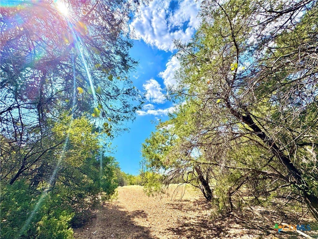 50.62 acres in Bastrop County - photo 9