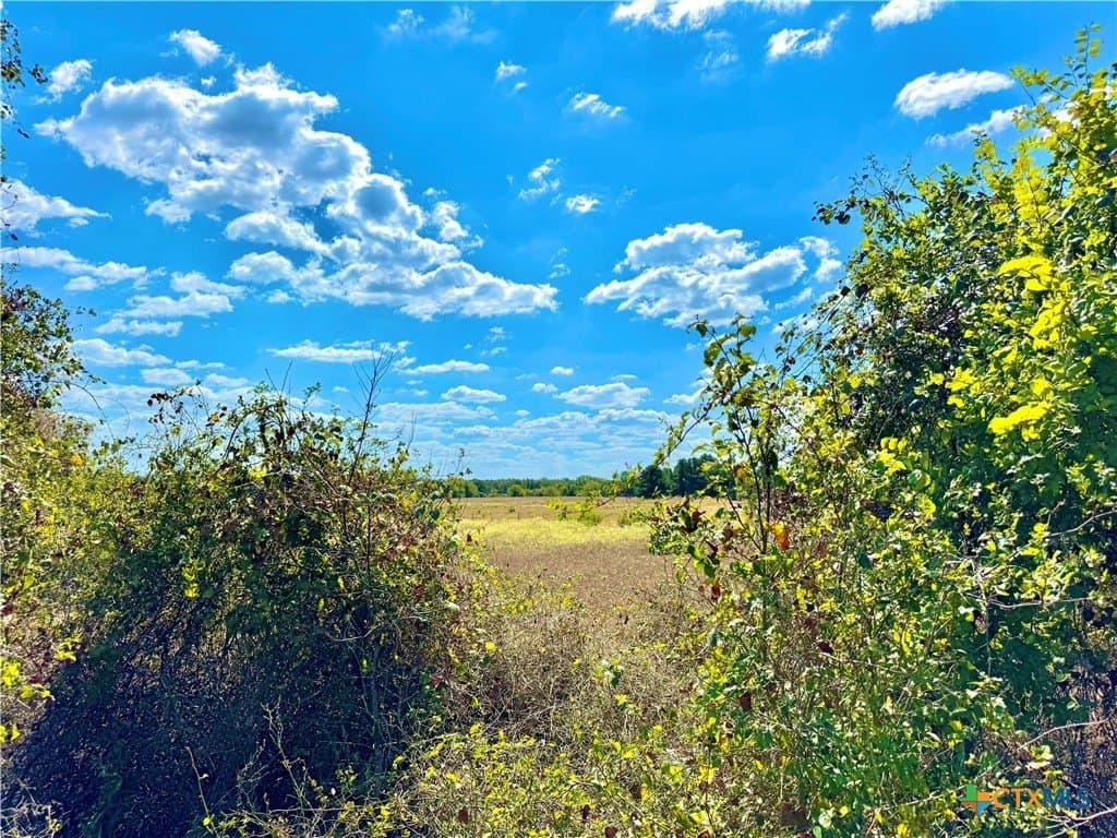 50.62 acres in Bastrop County - photo 7