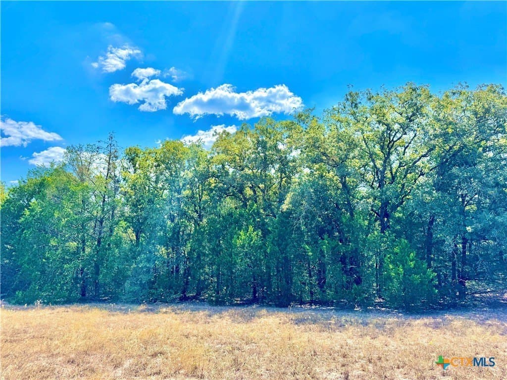 50.62 acres in Bastrop County - photo 19