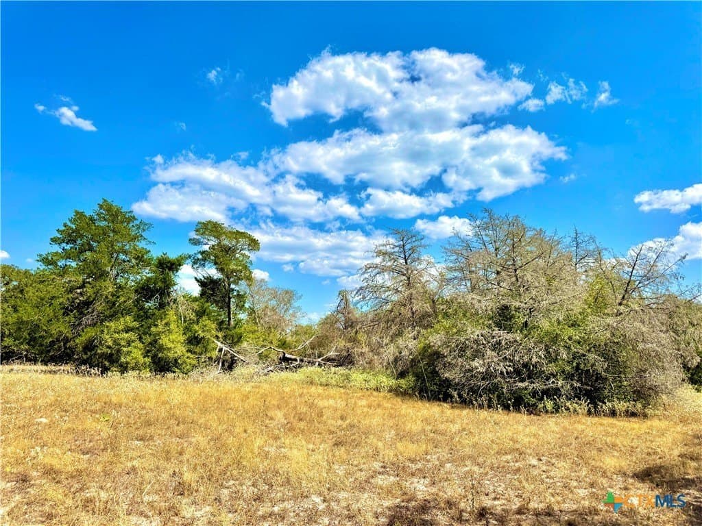 50.62 acres in Bastrop County - photo 20