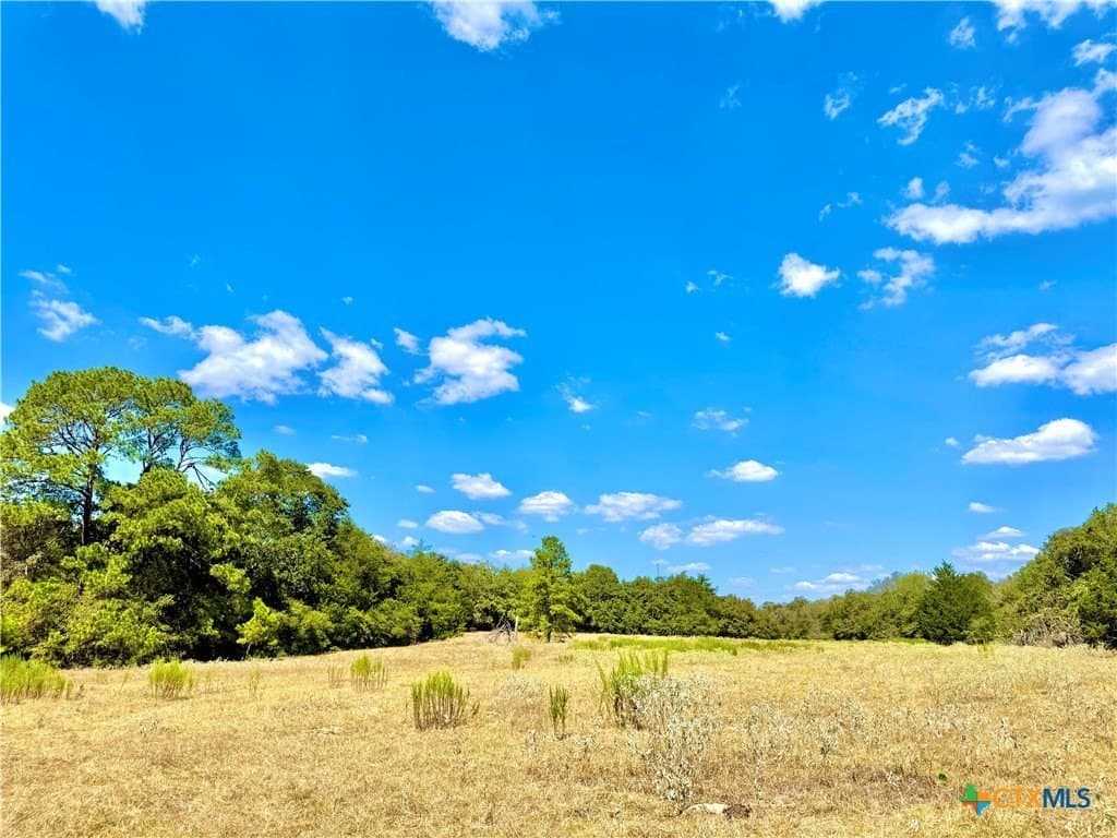 50.62 acres in Bastrop County - photo 10