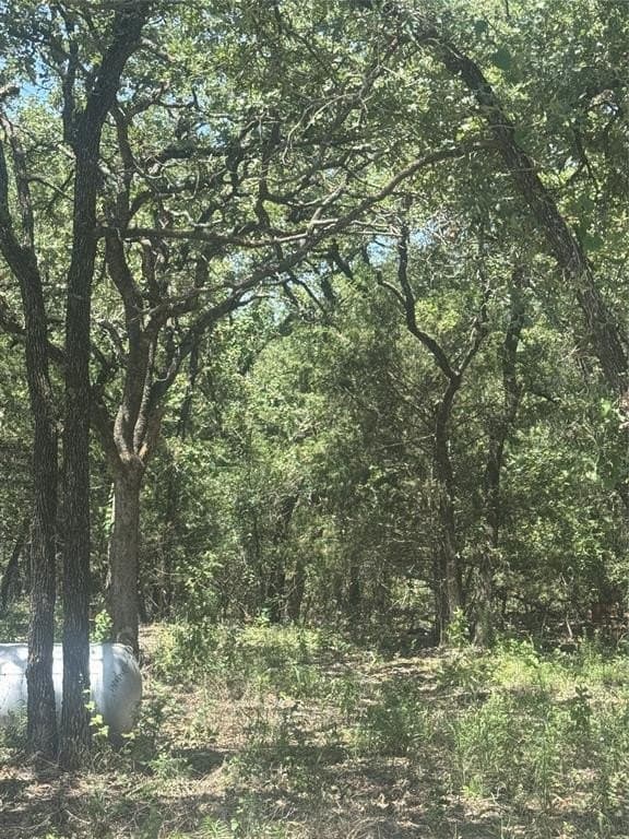 2.05 acres in Wise County - photo 5