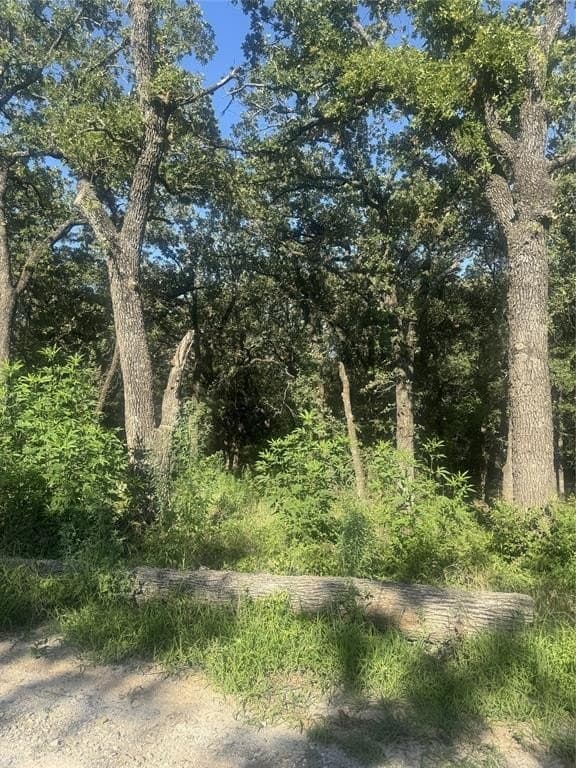 2.05 acres in Wise County - photo 2