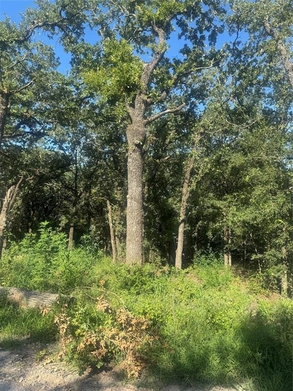 2.05 acres in Wise County - photo 3