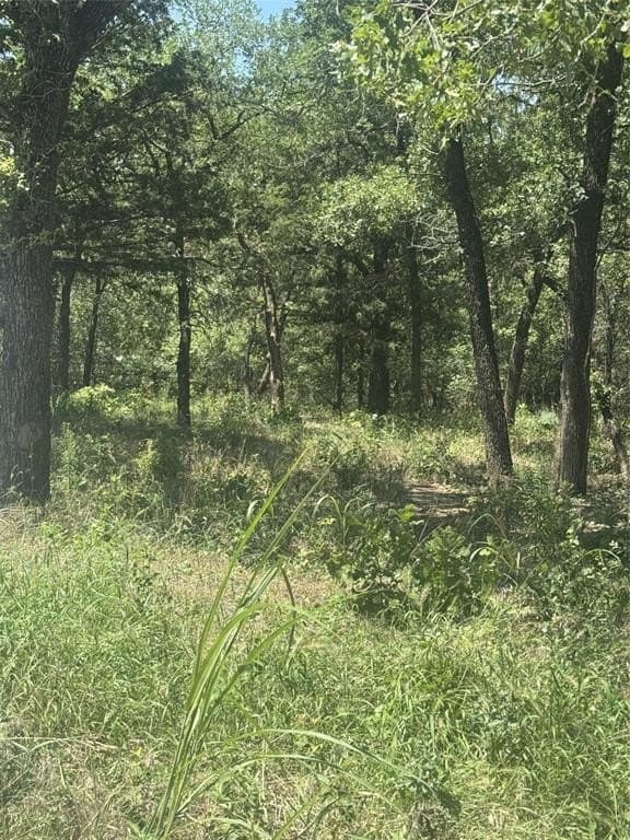2.05 acres in Wise County - photo 4