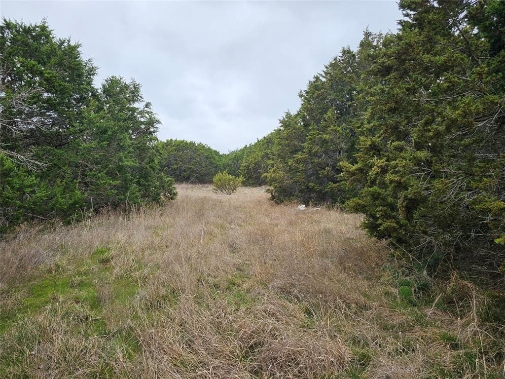 1 acres in Parker County - photo 4