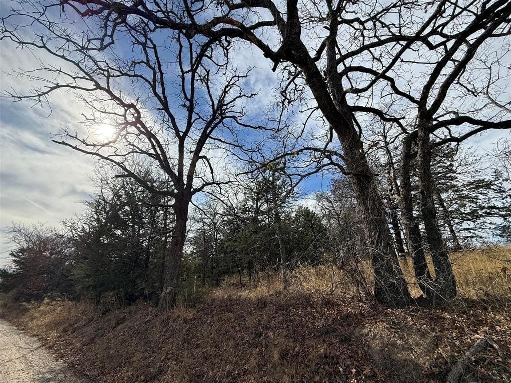 1.86 acres in Grayson County - photo 13
