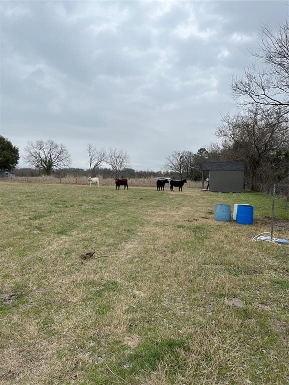 19 acres in Navarro County - photo 23