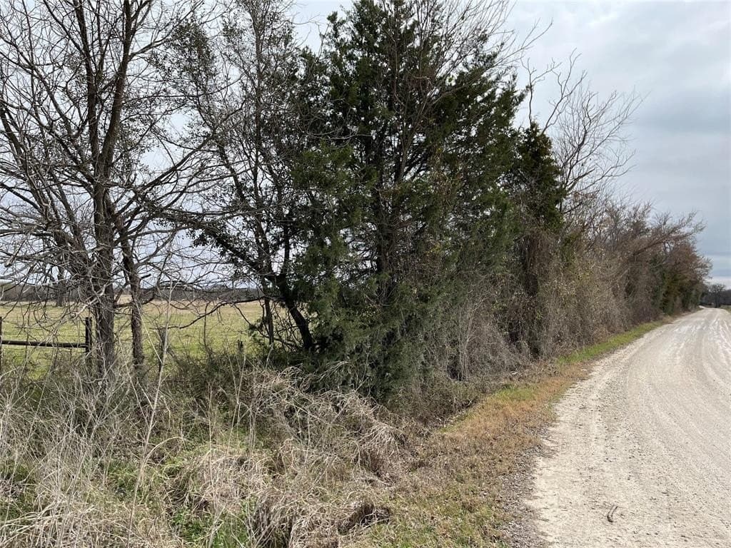19 acres in Navarro County - photo 22