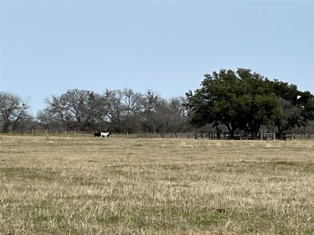 19 acres in Navarro County - photo 7