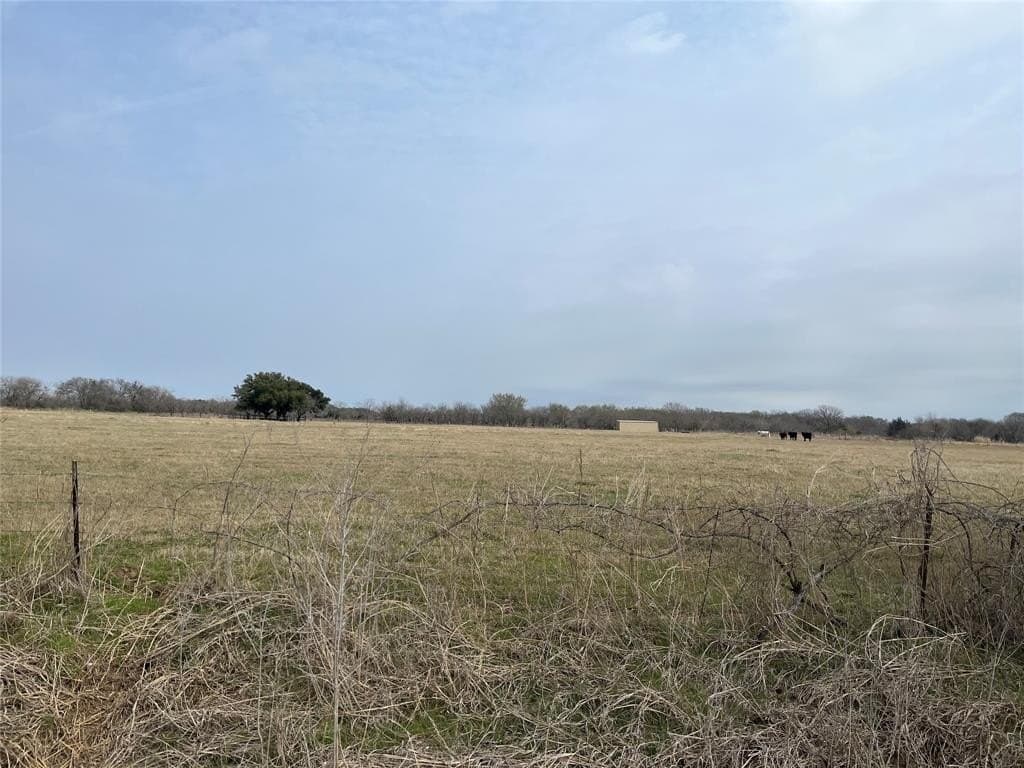 19 acres in Navarro County - photo 16