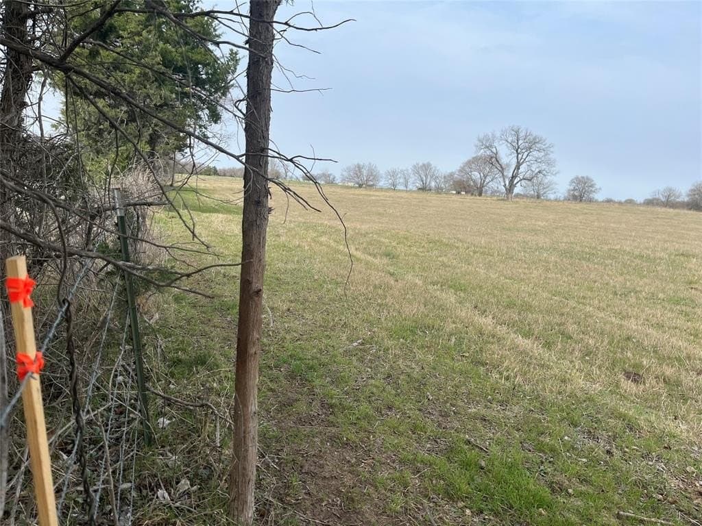 19 acres in Navarro County - photo 15