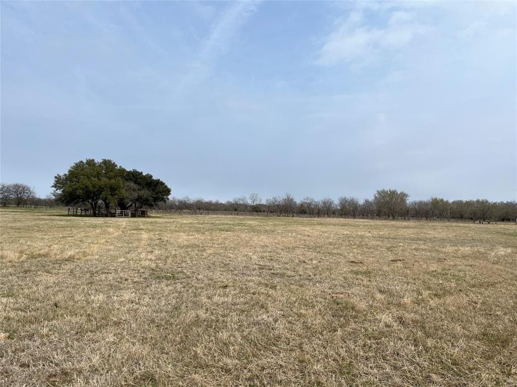 19 acres in Navarro County - photo 8