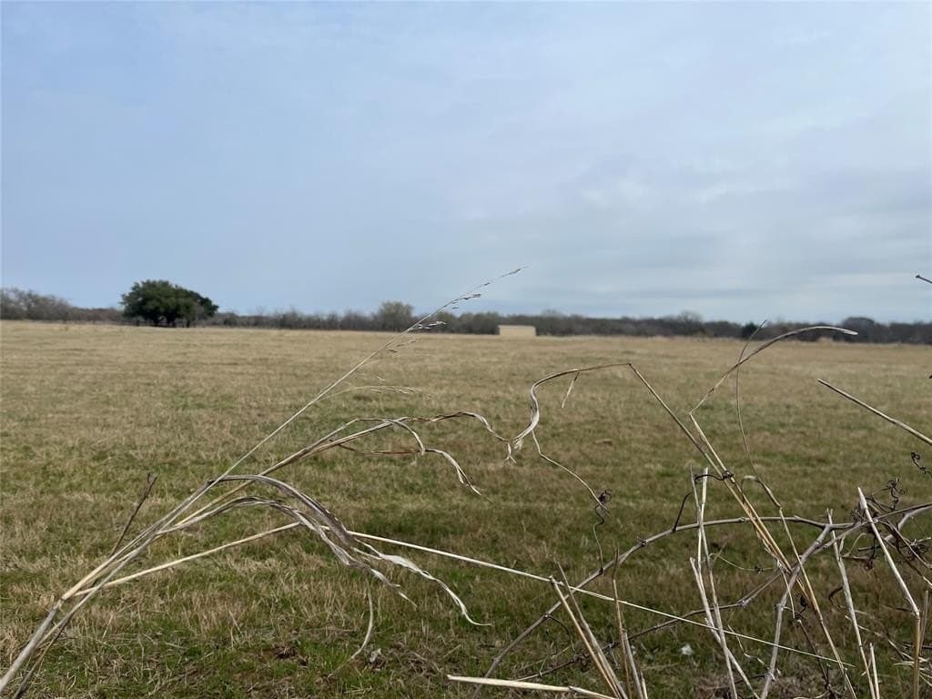 19 acres in Navarro County - photo 24