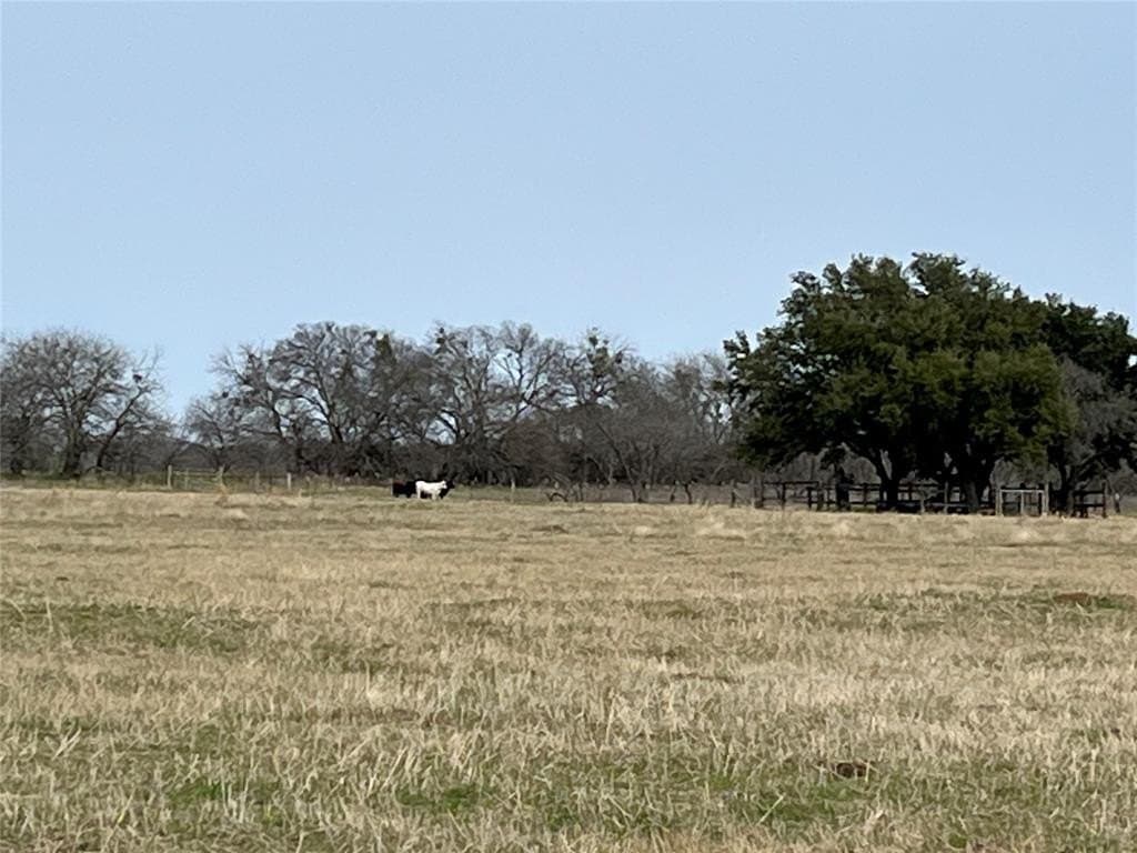 19 acres in Navarro County - photo 6