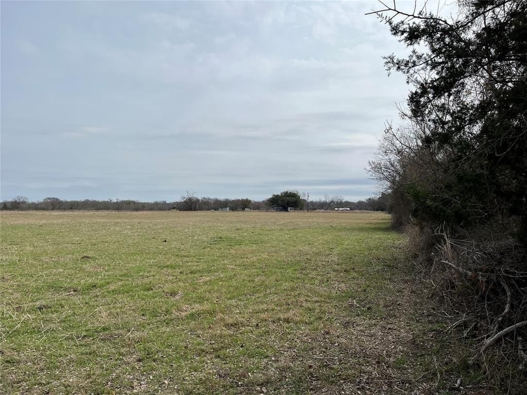 19 acres in Navarro County - photo 5