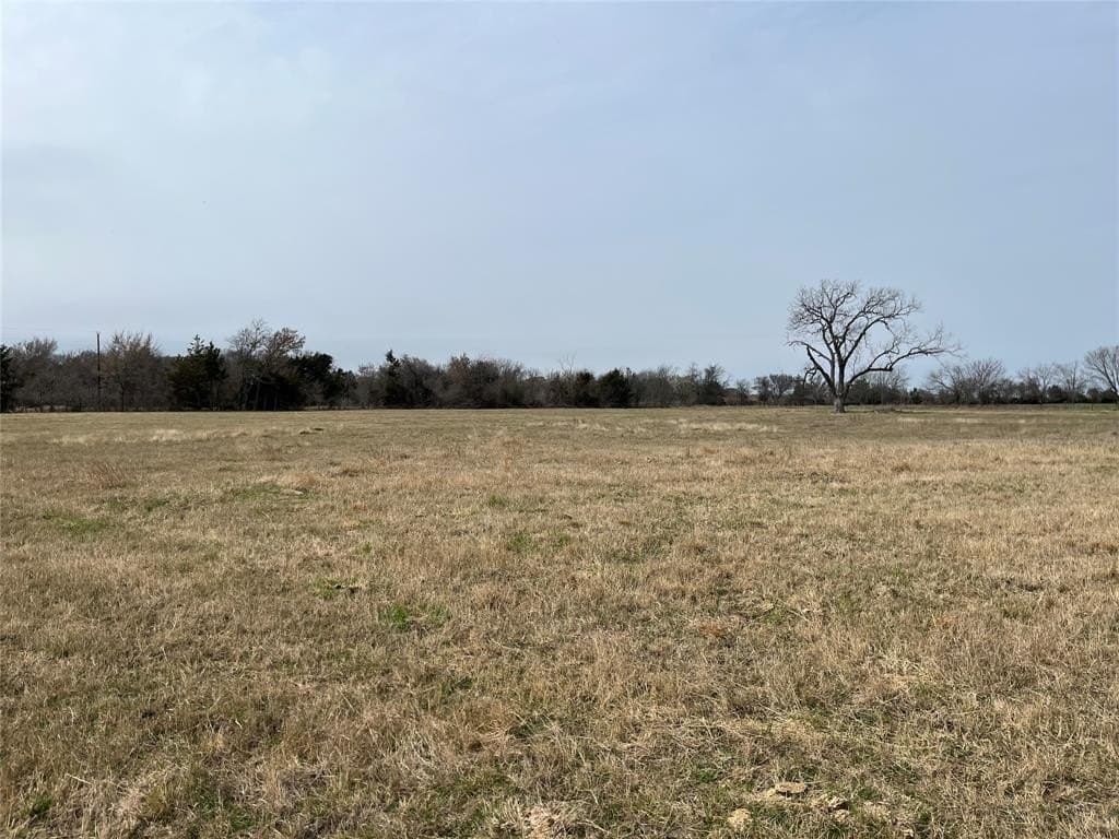 19 acres in Navarro County - photo 9