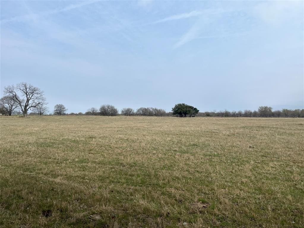 19 acres in Navarro County - photo 13