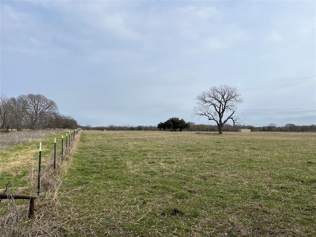 19 acres in Navarro County - photo 3