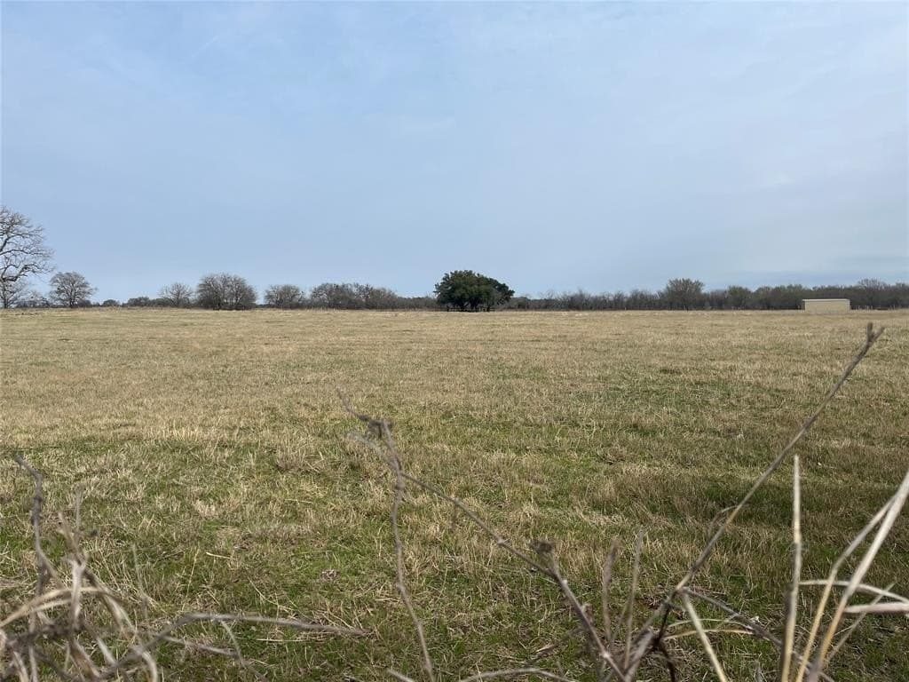 19 acres in Navarro County - photo 19