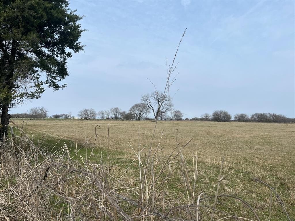 19 acres in Navarro County - photo 18