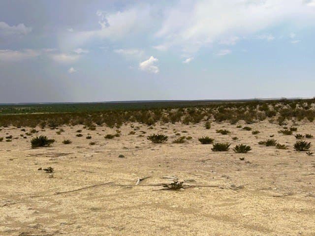 640 acres in Pecos County - photo 16