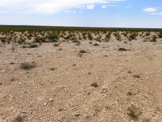640 acres in Pecos County - photo 10