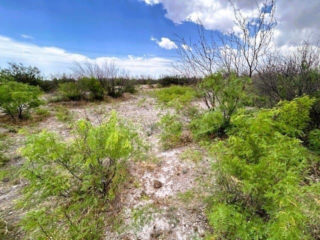 640 acres in Pecos County - photo 21