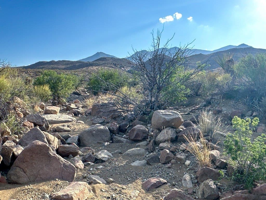 639.14 acres in Brewster County - photo 15