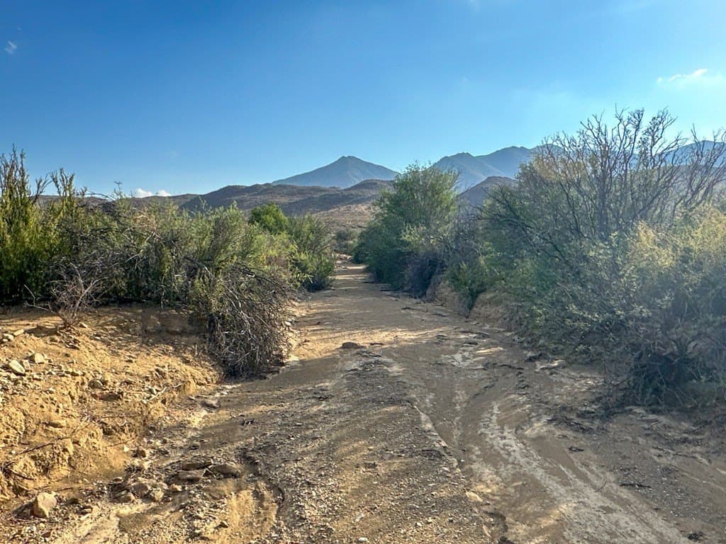 639.14 acres in Brewster County - photo 14