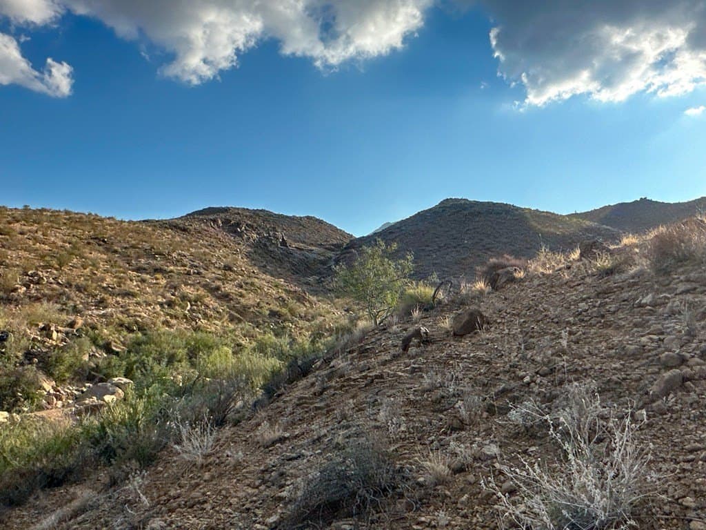 639.14 acres in Brewster County - photo 2