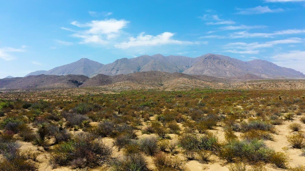639.14 acres in Brewster County - photo 8