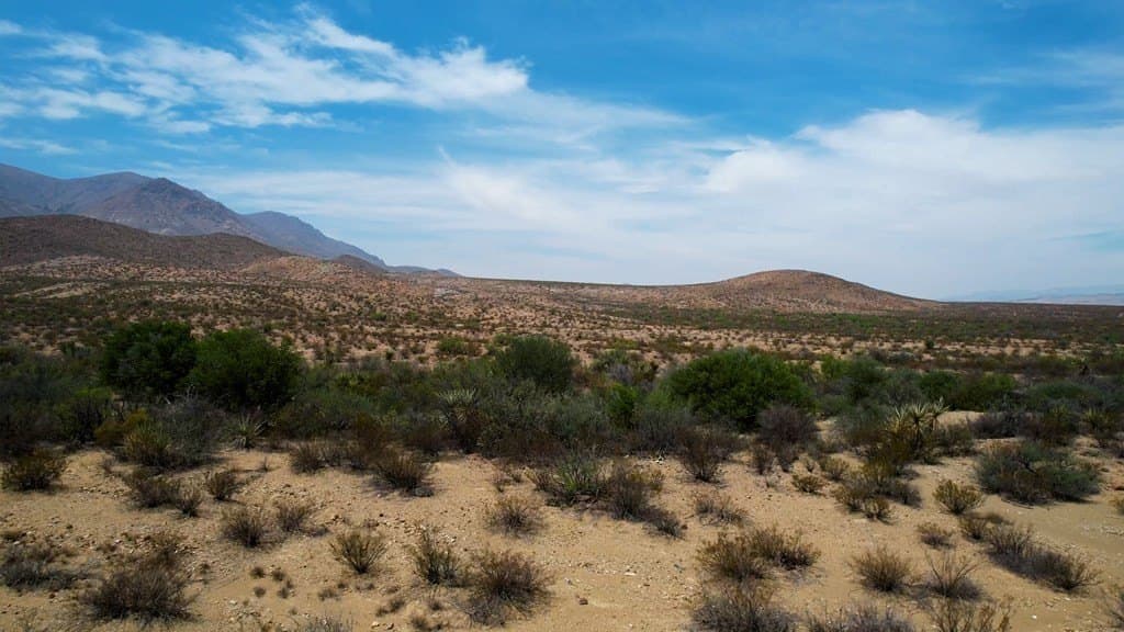 639.14 acres in Brewster County - photo 4