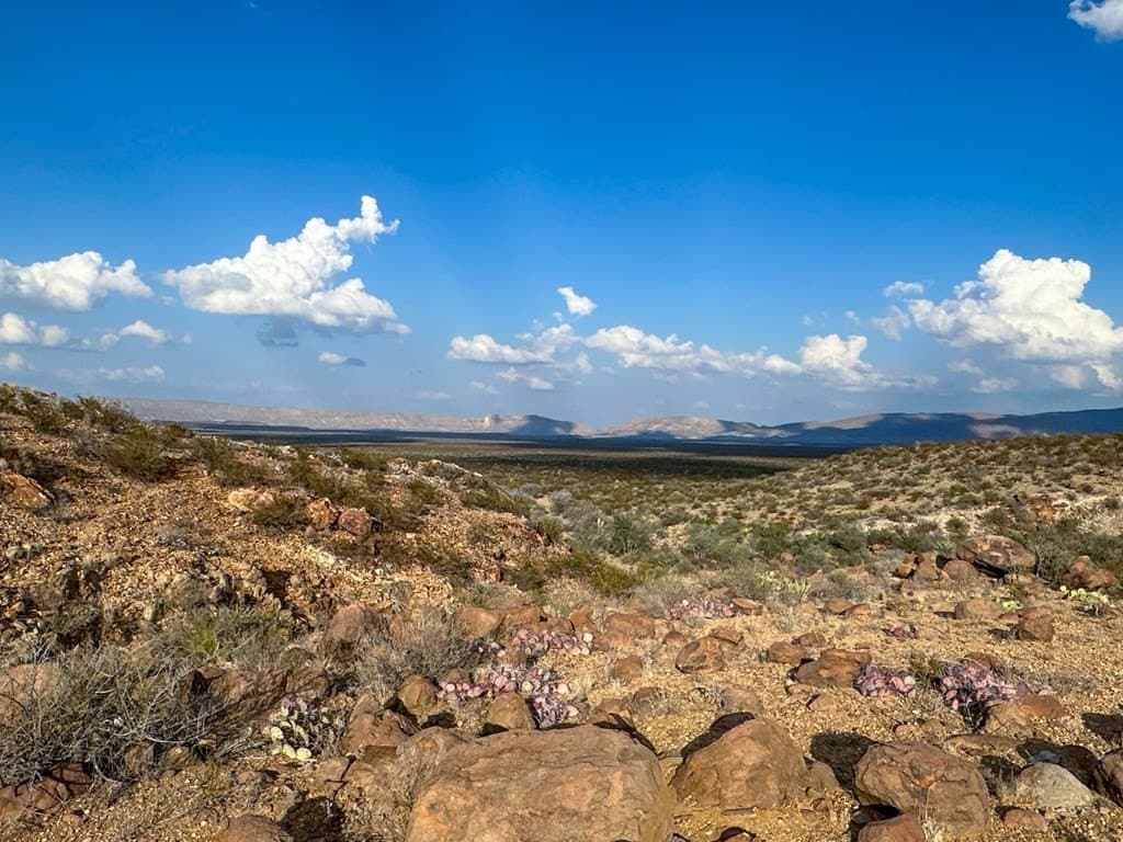 639.14 acres in Brewster County - photo 16