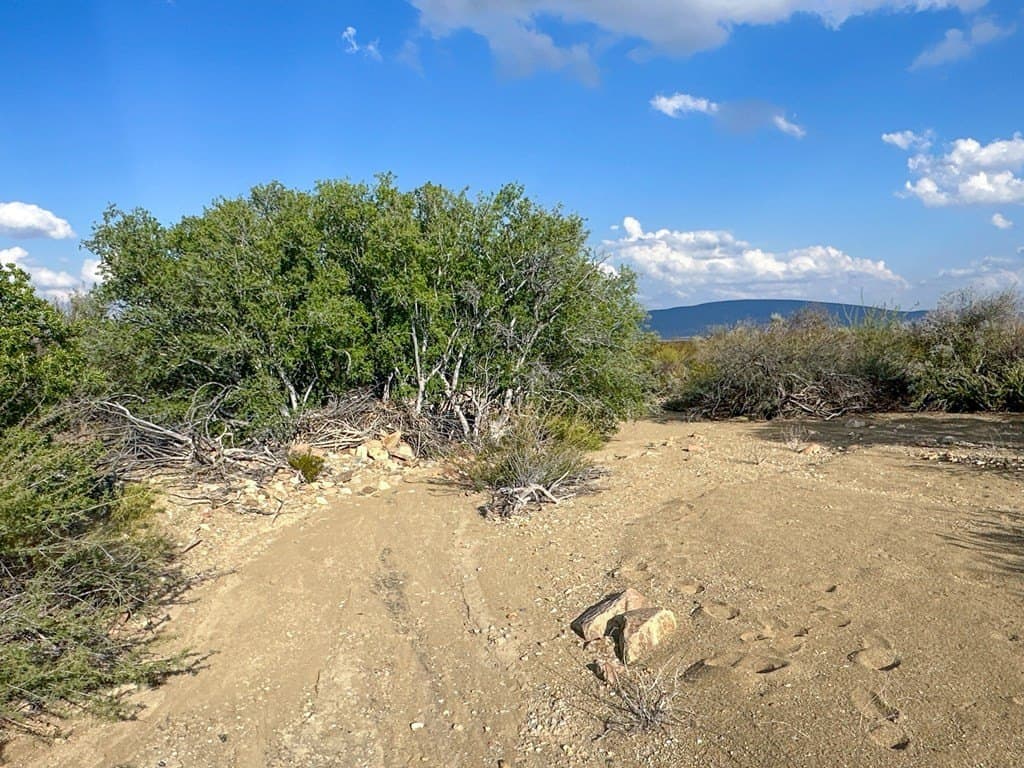 639.14 acres in Brewster County - photo 13