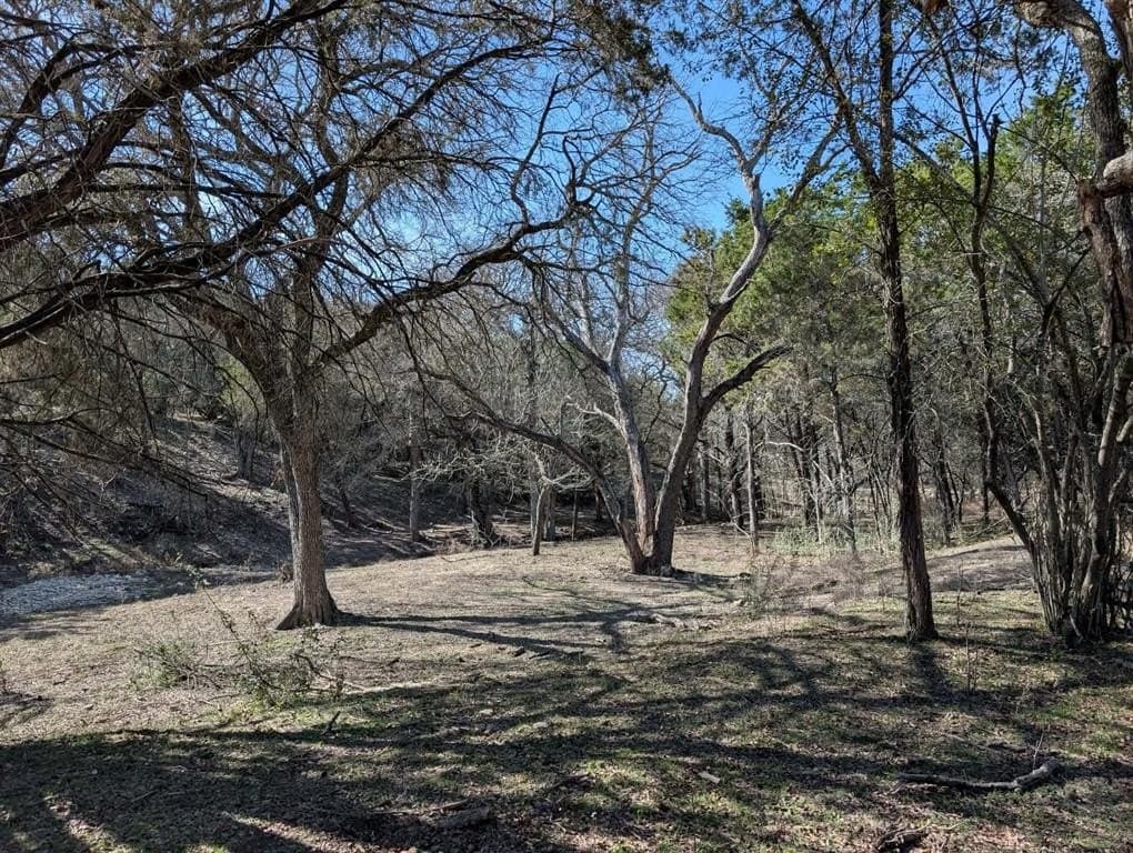 57 acres in Burnet County - photo 16