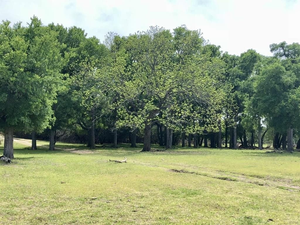57 acres in Burnet County - photo 19