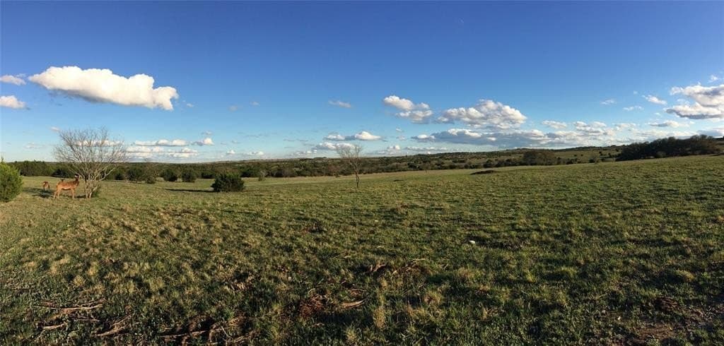 57 acres in Burnet County - photo 3