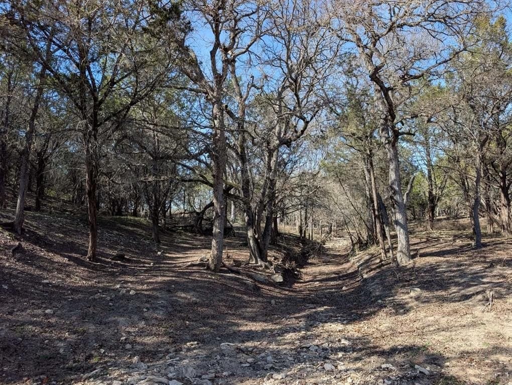 57 acres in Burnet County - photo 13