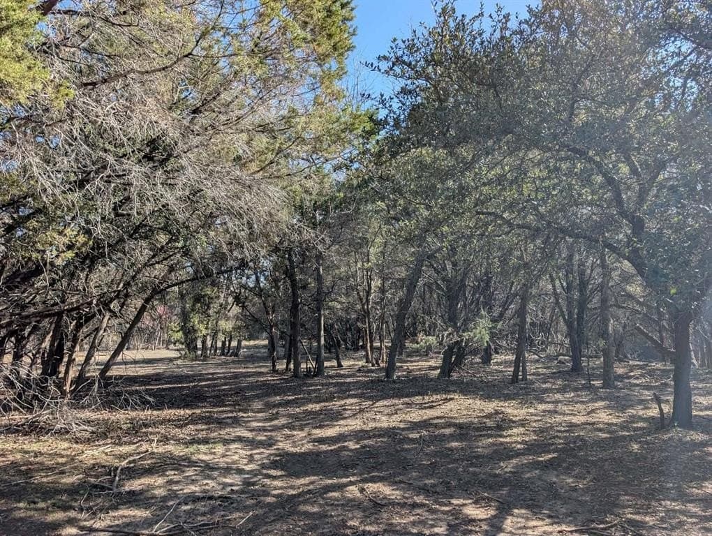 57 acres in Burnet County - photo 14