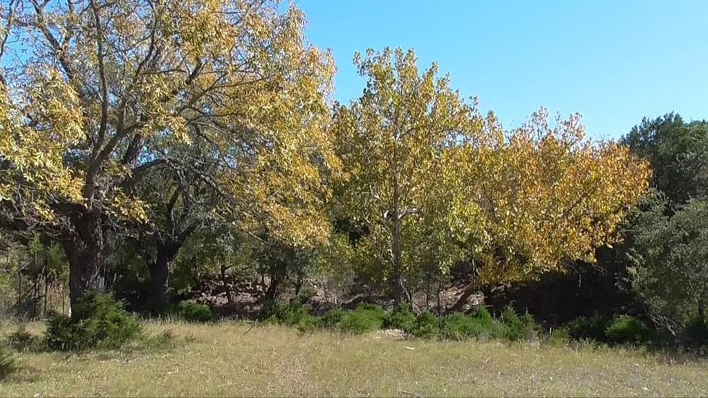 57 acres in Burnet County - photo 21