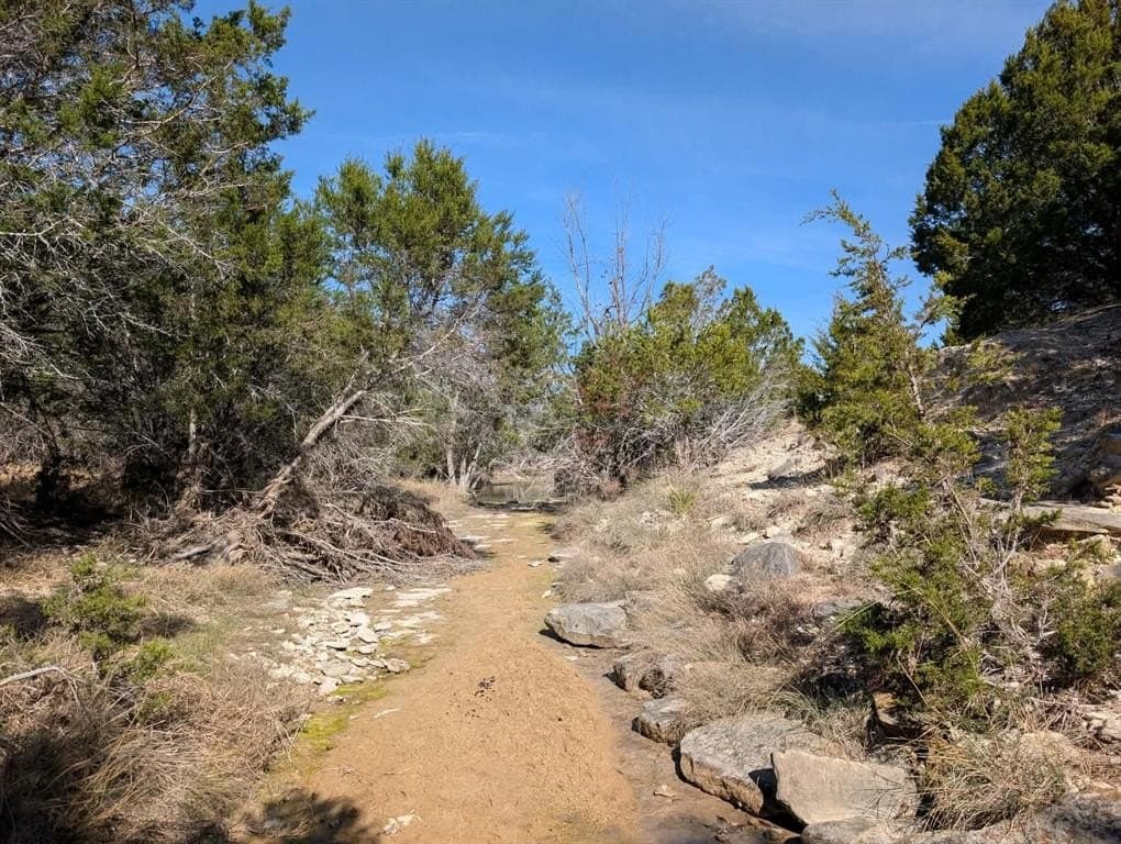 57 acres in Burnet County - photo 18