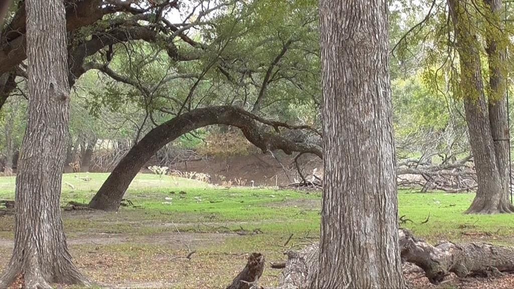 57 acres in Burnet County - photo 20