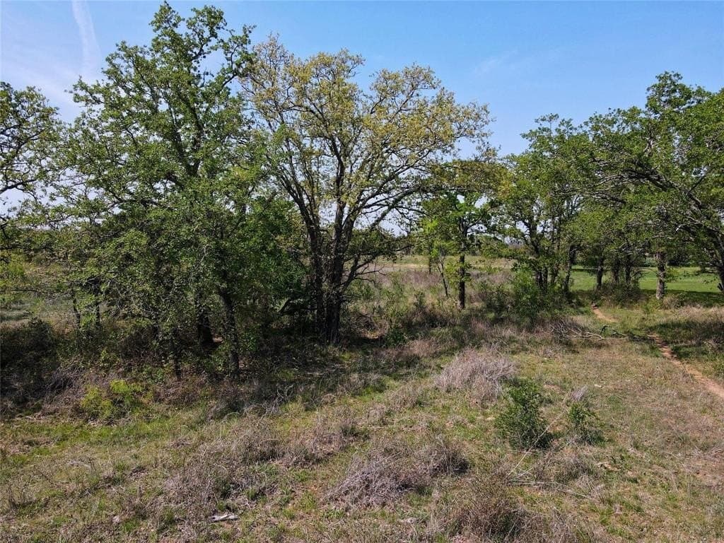 5.39 acres in Palo Pinto County - photo 4