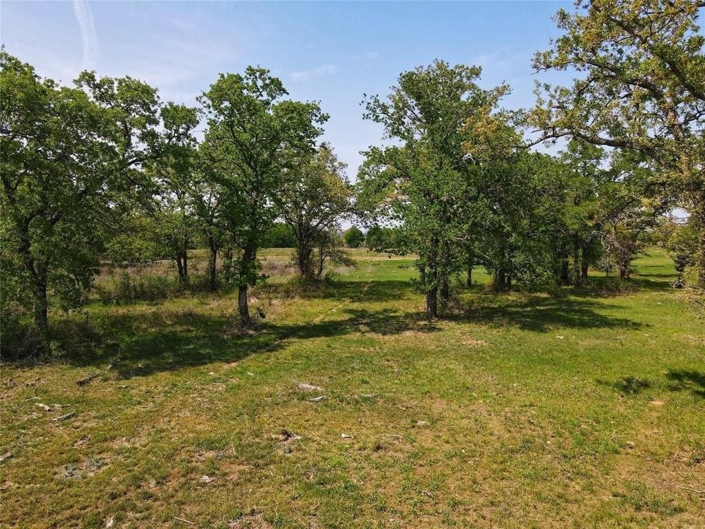 5.39 acres in Palo Pinto County - photo 5