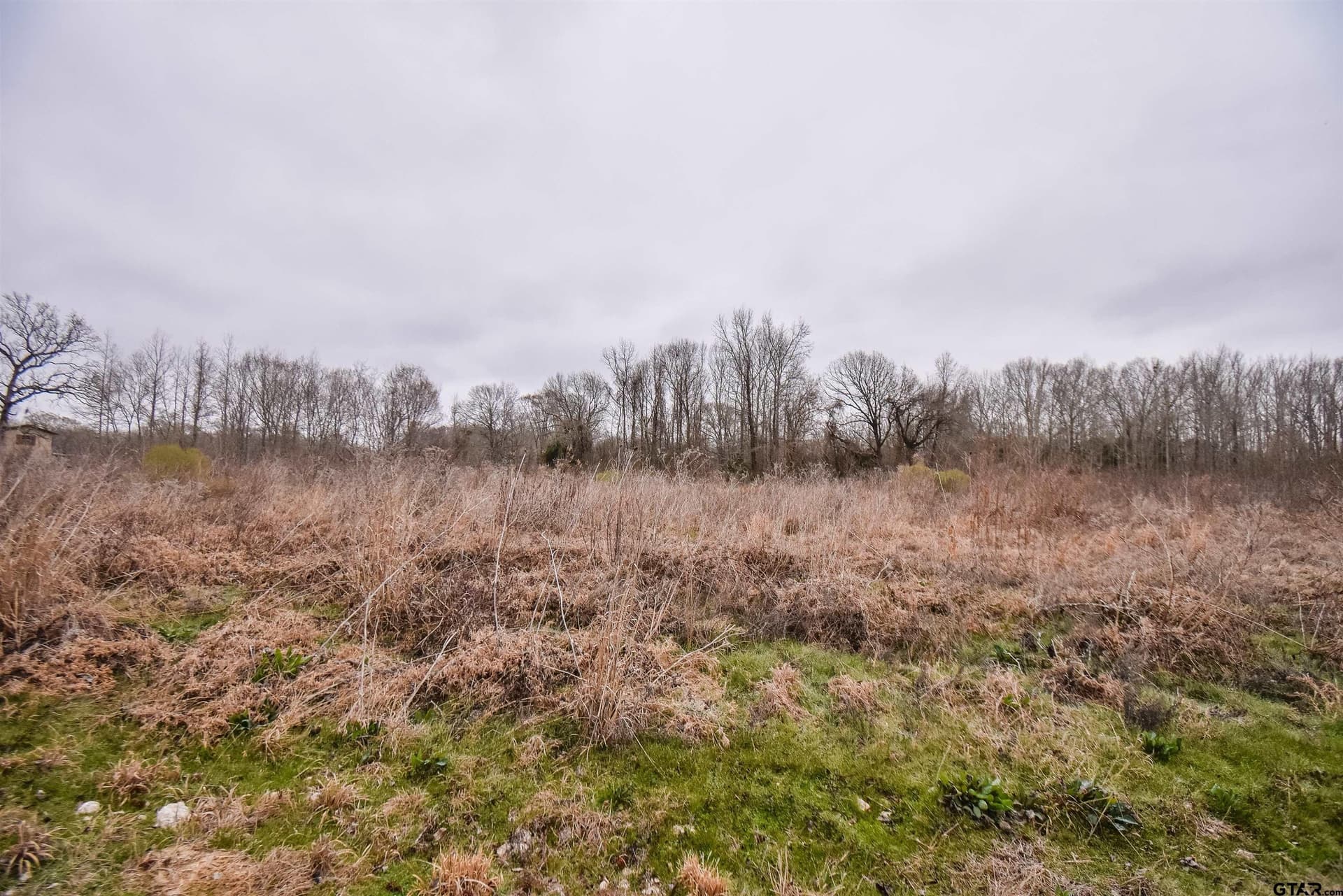 5.48 acres in Henderson County - photo 14