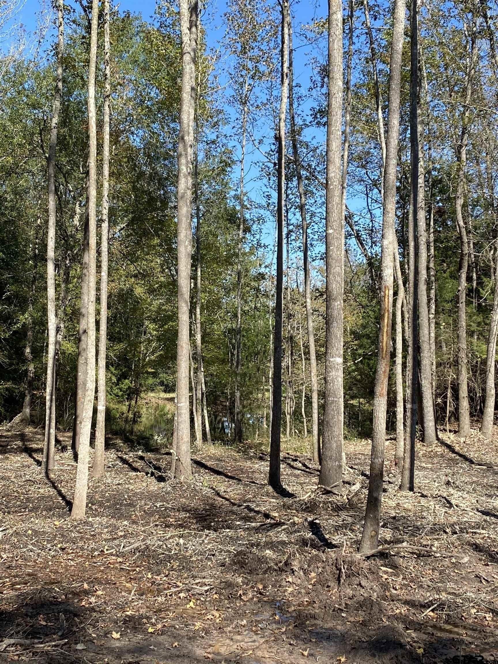 5.48 acres in Henderson County - photo 4